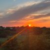 lucyhiggins008